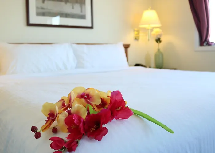 Nomad Hotel & Suites