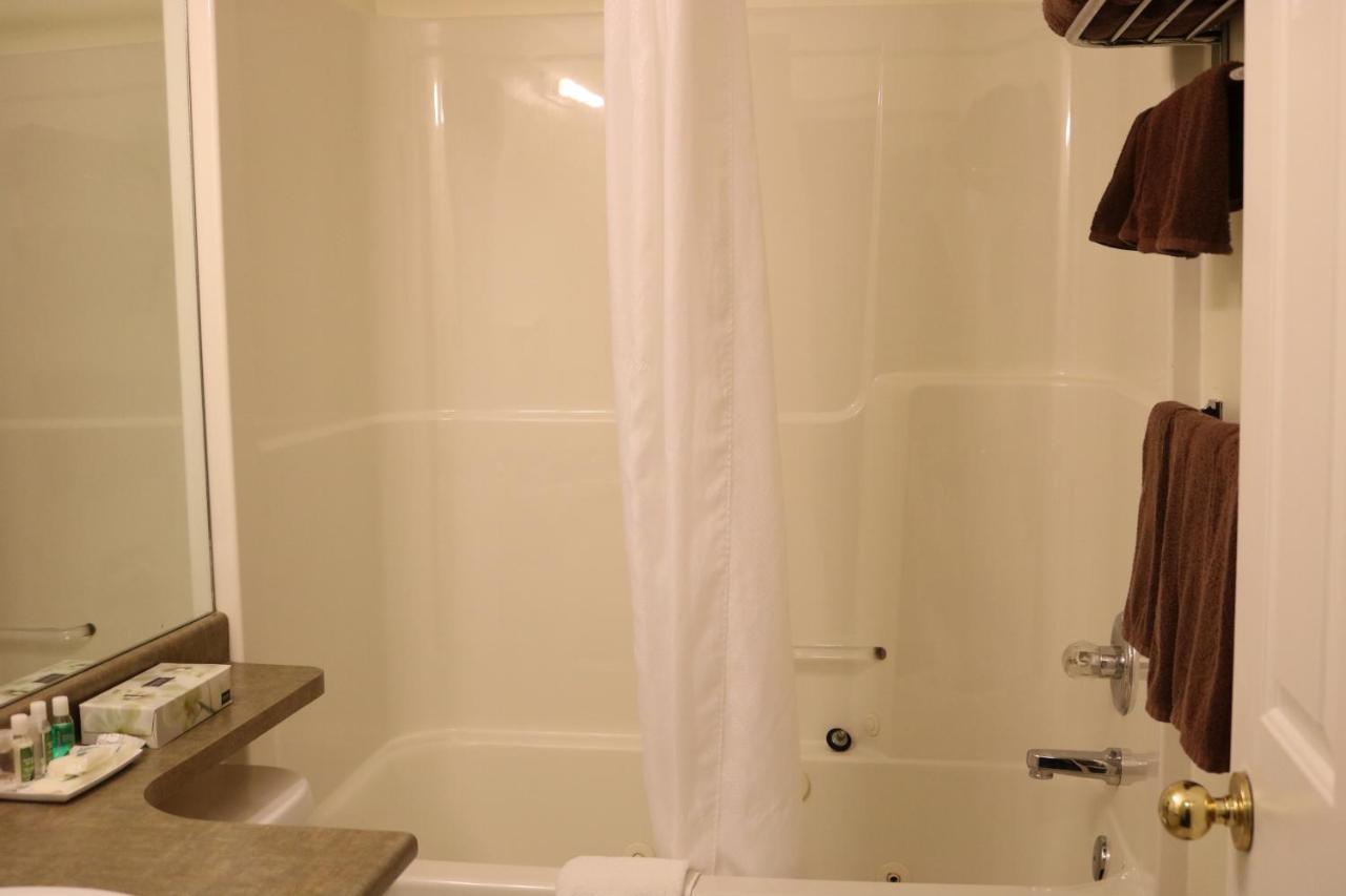 Hotel Nomad &